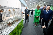 Впервые удостоились Гран-при